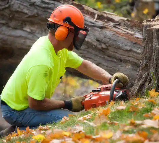 tree services Hallock